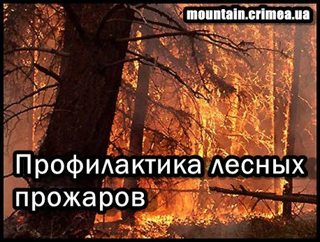 Лесной пожар. Профилактика и меры защиты