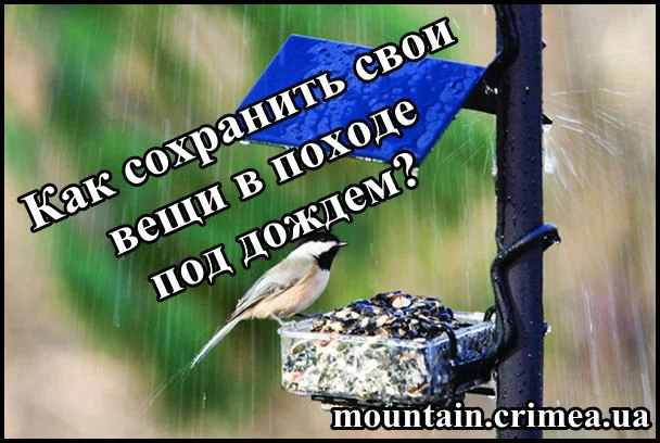 Как не промочить свой паспорт в походе и защититься от влаги и воды?