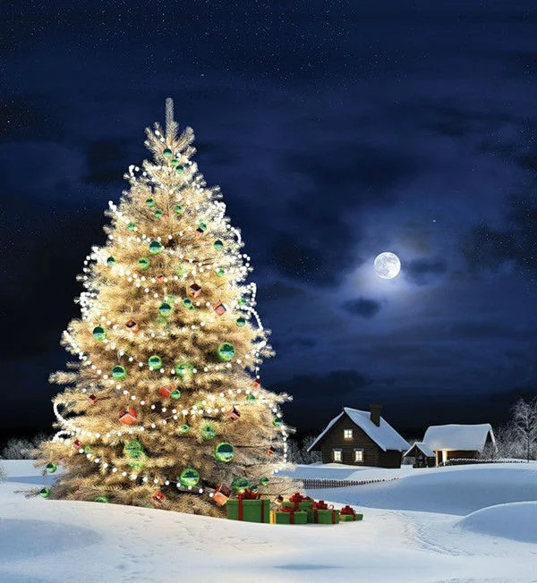 С Новым Годом и планы на 2013 год! 1 С Новым Годом и планы на 2013 год!