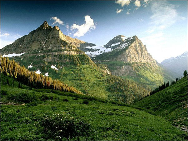 amazing-green-mountains-with-trees-lanscape-wallpaper